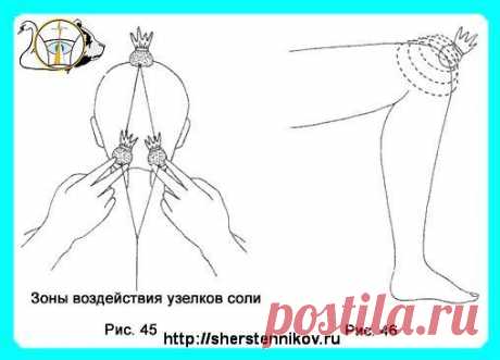 самопомощь