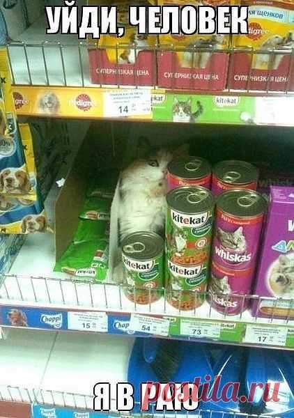 Группа: Хохотушки