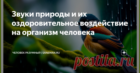 Звуки природы и их оздоровительное воздействие на организм человека  Прогуливаясь по лесу или парку, отдыхая на берегу водоема, человек ощущает покой и умиротворение. Объединение с природой помогает избавиться от переживаний, стресса. На фоне дивного раздолья весь негатив мельчает, становится несущественным. Природа богата звуками, которые оказывают положительное влияние на человеческий организм. Лечебный эффект природных звуков Органы тела постоянно вибрируют. Существуют ...