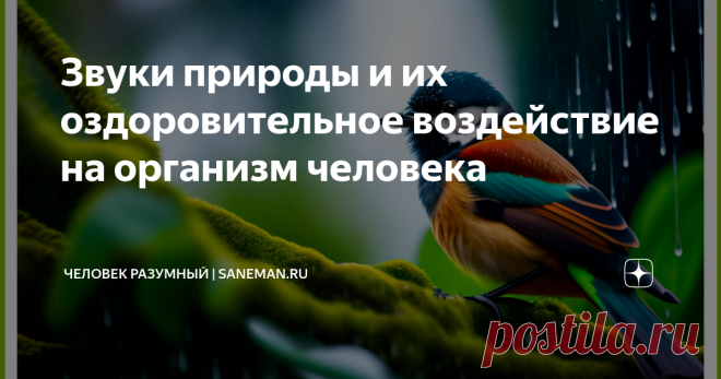 Звуки природы и их оздоровительное воздействие на организм человека  Прогуливаясь по лесу или парку, отдыхая на берегу водоема, человек ощущает покой и умиротворение. Объединение с природой помогает избавиться от переживаний, стресса. На фоне дивного раздолья весь негатив мельчает, становится несущественным. Природа богата звуками, которые оказывают положительное влияние на человеческий организм. Лечебный эффект природных звуков Органы тела постоянно вибрируют. Существуют ...