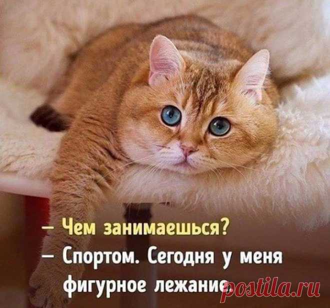 25 классных анекдотов и шуток! Заряд позитива на весь день