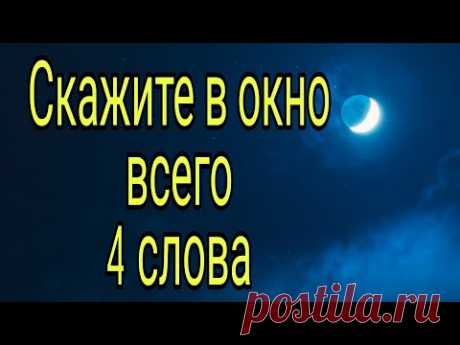 Скажите в окно всего 4 слова. | Тайна Жрицы |