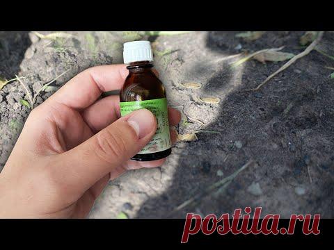 1 капля в почву и она как новая!