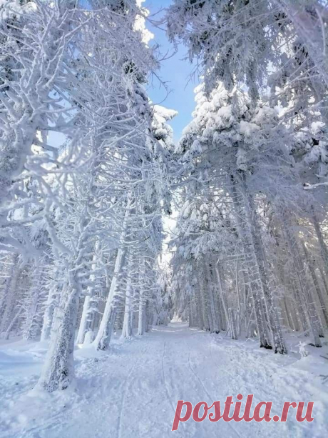 Морозная красота!