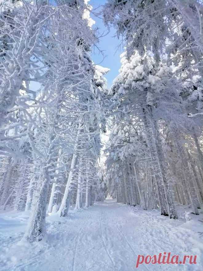Морозная красота!