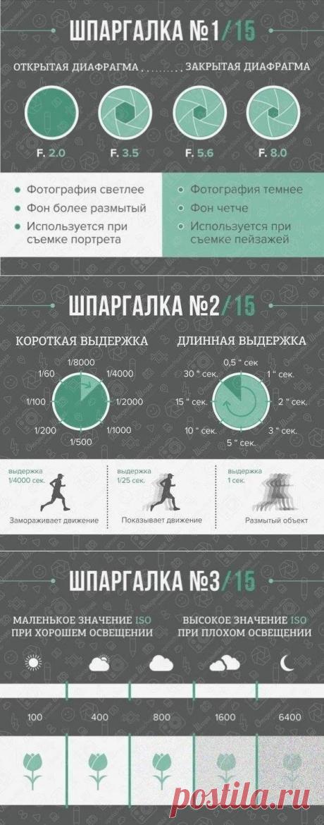 Шпаргалка для фотографов: вспышка, фон и диафрагма