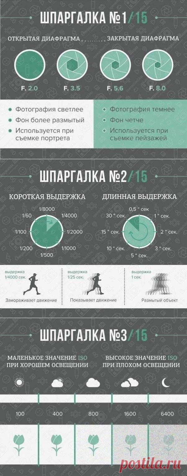 Шпаргалка для фотографов: вспышка, фон и диафрагма