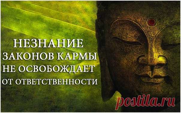 12 законов кармы, которые изменят вашу жизнь