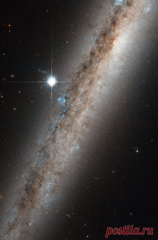 Миллиарды и миллиарды - NGC 4517 Другое сокровище раскопали из ...