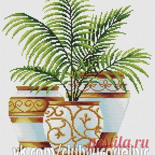 Три пальмы