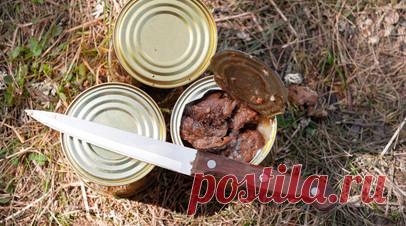 Учёные из Саранска разработали нагревательный пакет для пищи в условиях Арктики. Учёные МГУ имени Огарёва разработали нагревательный пакет для пищи, способный работать в условиях Арктики. Читать далее