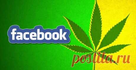 В Facebook появилась реклама, связанная с наркотиками! Социальная сеть Facebook снова поражает своей неуемной тягой к скандалам. Видно мало Цукербегру и иже с ним громких историй, которые выливают на соцсеть негатив и отворачивают от нее тех, кто уже является пользователем ее сервисов, не говоря о тех, кто мог бы стать ее завсегдатаем потенциально. На этот раз скандал коснулся рекламы. Оказывается, на страницах …