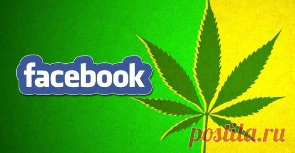 В Facebook появилась реклама, связанная с наркотиками! Социальная сеть Facebook снова поражает своей неуемной тягой к скандалам. Видно мало Цукербегру и иже с ним громких историй, которые выливают на соцсеть негатив и отворачивают от нее тех, кто уже является пользователем ее сервисов, не говоря о тех, кто мог бы стать ее завсегдатаем потенциально. На этот раз скандал коснулся рекламы. Оказывается, на страницах …