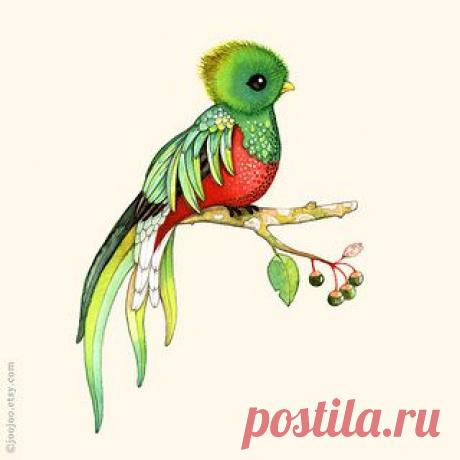 Quetzal watercolor painting | Flickr - Photo Sharing!