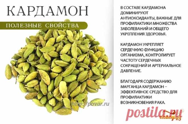 Кардамон