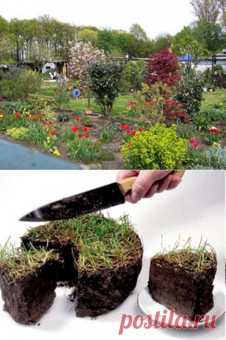 Как не попасть в руки аферистов при покупке участка