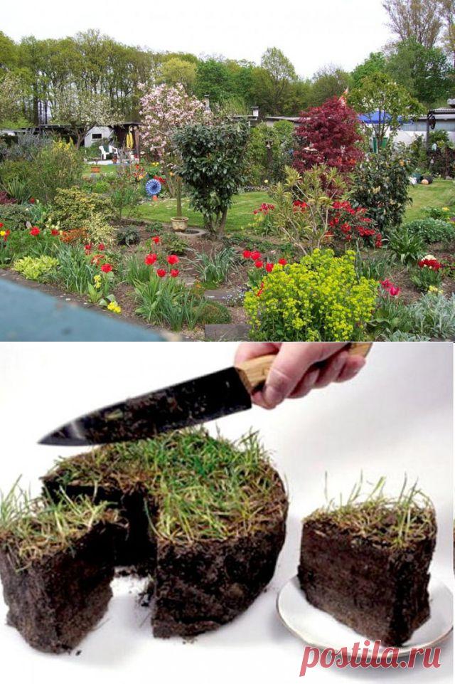 Как не попасть в руки аферистов при покупке участка