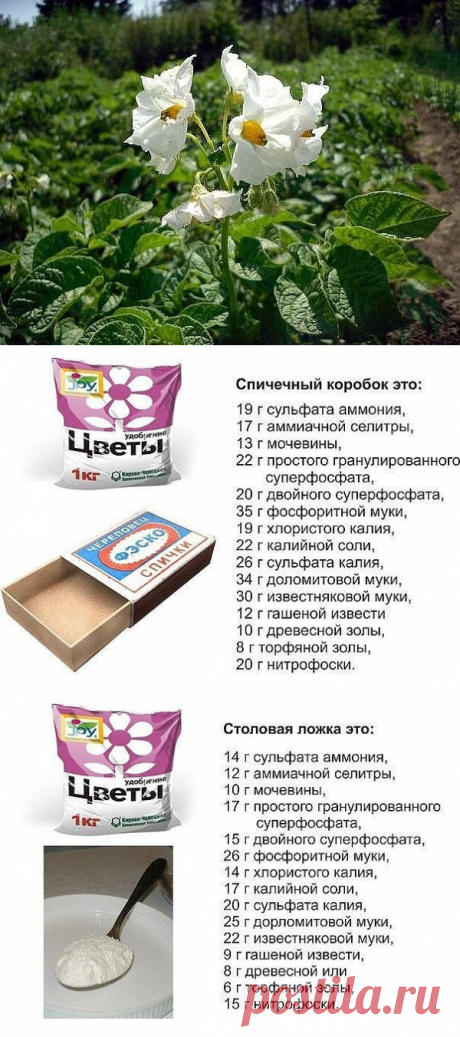 (77) Одноклассники