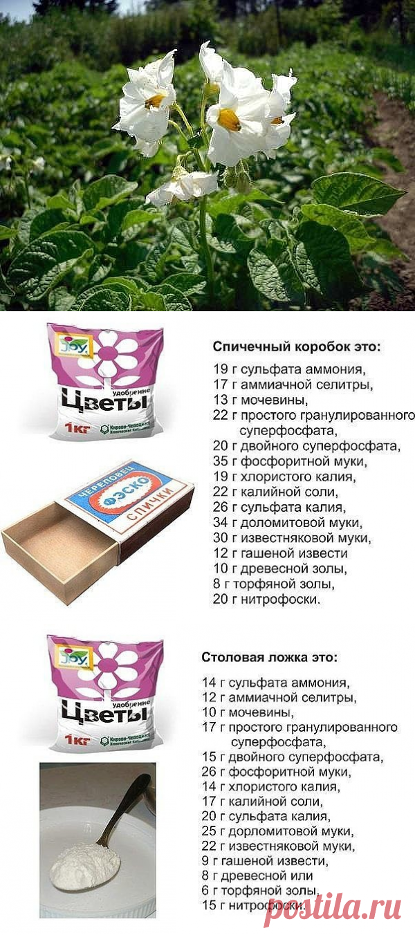 (77) Одноклассники
