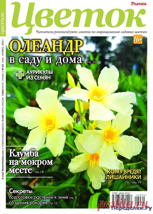 Цветок №22 2022 * Переделки.Ру Цветок №22 2022 Читать журнал ОНЛАЙН