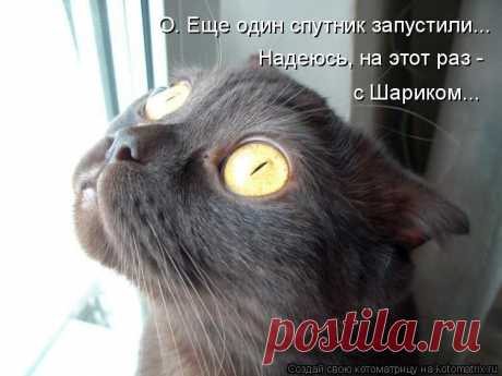 Котоматрица: Круть