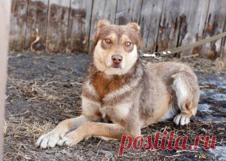 Татьяна Кузнецова