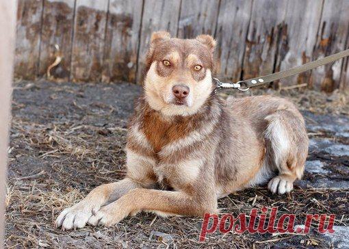 Татьяна Кузнецова