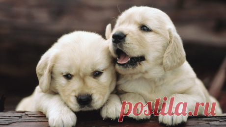 Мой Мир@Mail.Ru