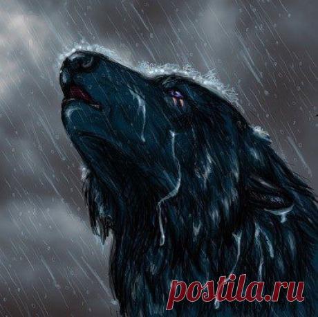 В жизни, как под дождем - наступает момент, когда уже просто все равно.