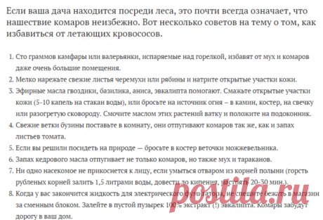 Простой способ избавиться от комаров. Прощайте летающие кровососы!