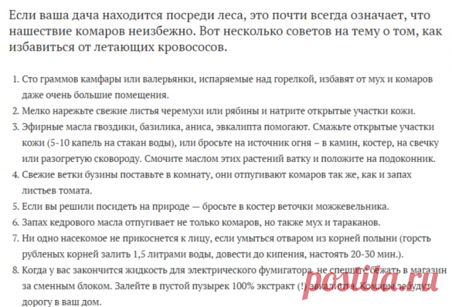 Простой способ избавиться от комаров. Прощайте летающие кровососы!