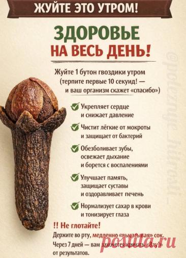 Жуйте один бутон гвоздики утром