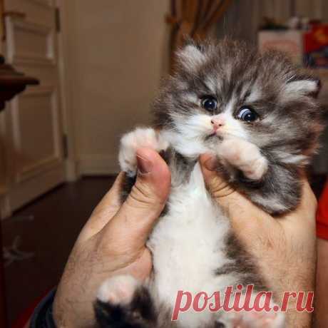 Мой Мир@Mail.Ru