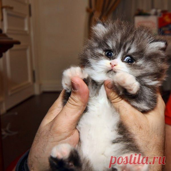 Мой Мир@Mail.Ru