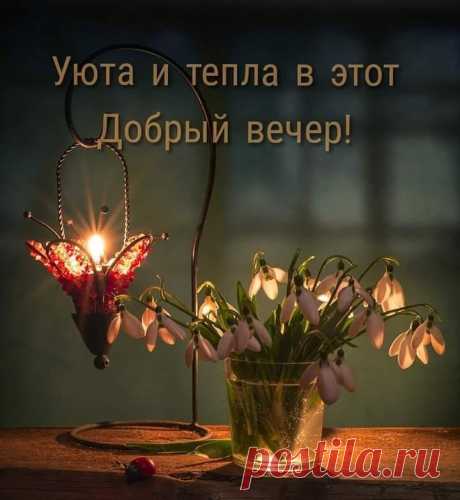 (6) Зина Таирова