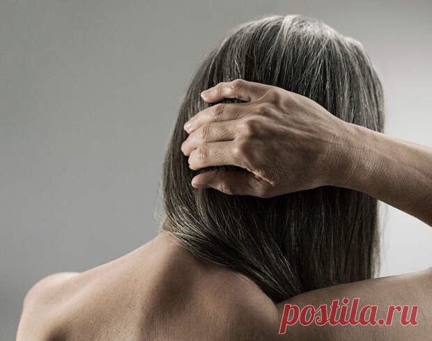 (37) Долголетие по рецепту - ПолонСил.ру - социальная сеть здоровья - 5 апреля - 43466768768 - Медиаплатформа МирТесен Пока вы читаете эту статью, сотни биологов по всему миру проводят эксперименты в поисках «лекарства от старости». Ученым уже удается продлевать жизнь различным организмам. Но сможет ли человек воспользоваться плодами этих трудов? В наши дни большинство ученых определяет старение как процесс - 5 апреля - 43466768768 - Медиаплатформа МирТесен