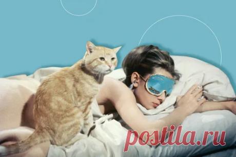 Сколько часов нужно спать ночью: 6, 7, 8 или 9