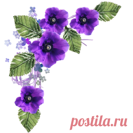 Декоративные элементы png для вашего творчества