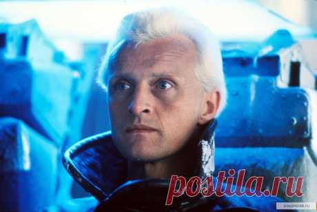 Рутгер Хауэр