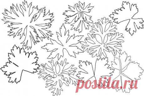 🌹Мастер-классы|Фоамиран|Товары для флористики🌹