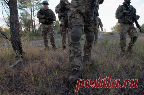 Посольство РФ в Швеции: все наемники киевского режима понесут наказание. Дипломаты указали, что наемничество — это преступление.