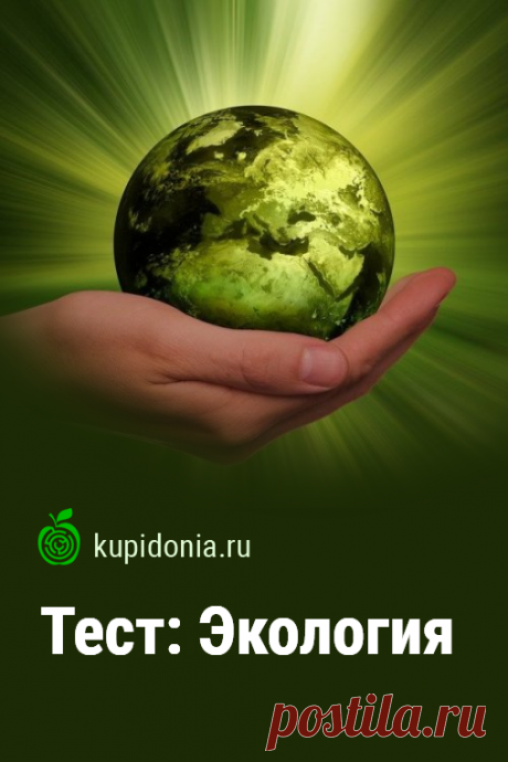 Тест: Экология. Интересный тест о природе и том, как важно её беречь и защищать от неразумной деятельности человека. Проверьте свои знания!