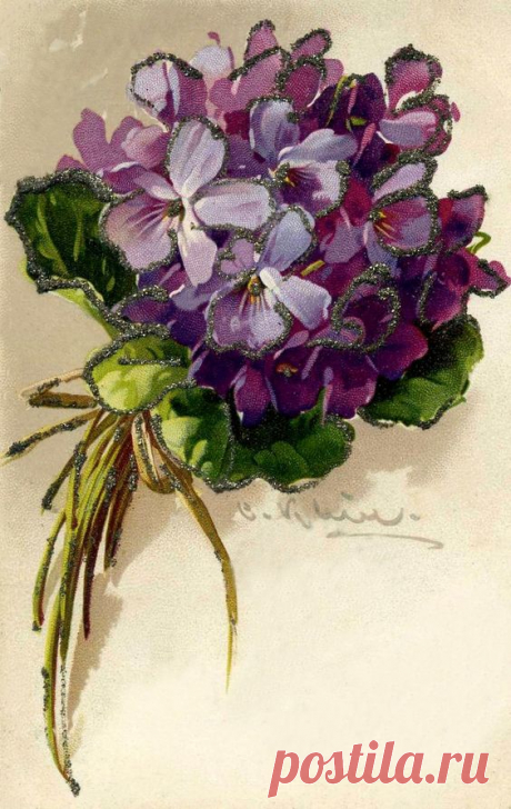 Vintage Violets Postcard by Catherine Klein | Grafika-KWIATY