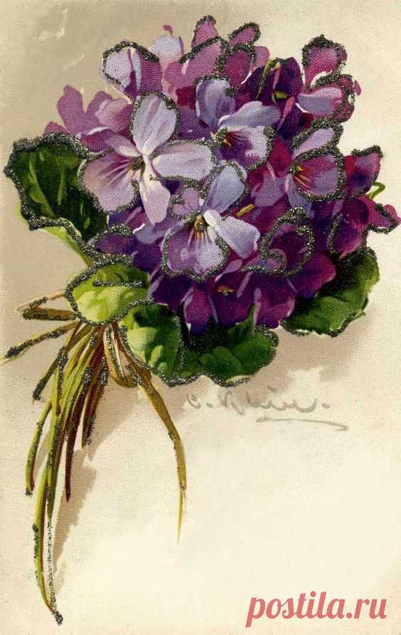 Vintage Violets Postcard by Catherine Klein | Grafika-KWIATY