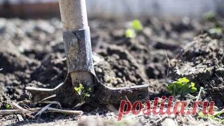 Чем опасны азотные удобрения