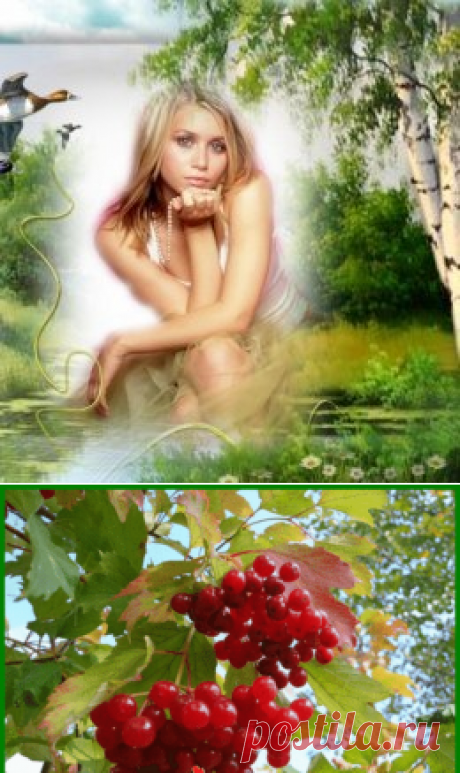 ❤♥❤ Ты у калины жди .....  ❤♥❤ ~ Плэйкасты ~ Beesona.Ru
