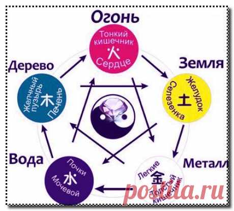 Пять элементов и внутренние органы | Путь наверх