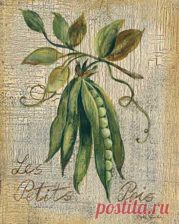 Картинки для кухни. Большая подборка