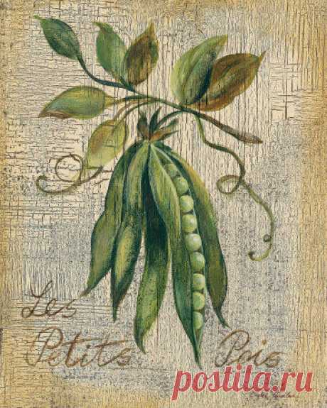 Картинки для кухни. Большая подборка