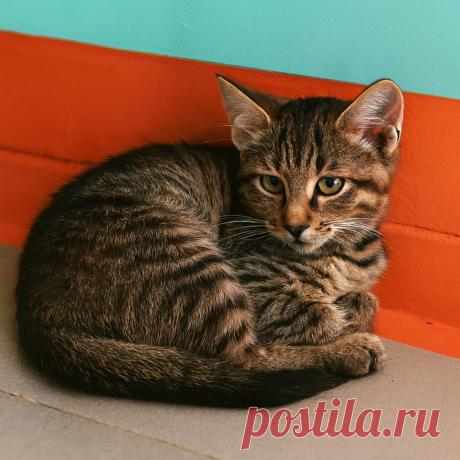 Не теряя надежды - OGADANIE.RU